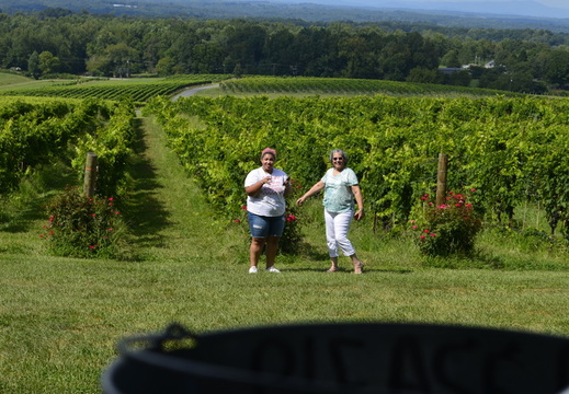 Harris Reunion Winery Tour 2021  023